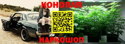 стаф Михайловка