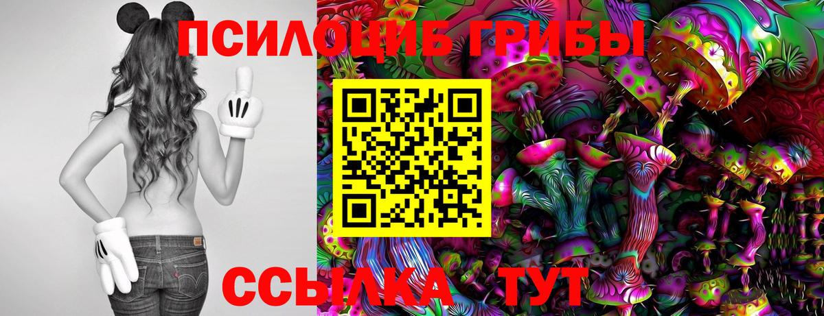 цены   Вход с VPN  Кызыл  Псилоцибиновые грибы прущие грибы 